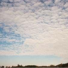 Altocumulus Altocumulus can have small lacy segments or almost