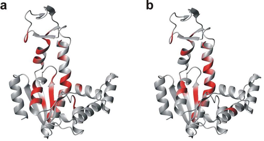 Supplementary Figure S8. WT and M1 binds to ATP with overlapping binding surfaces.