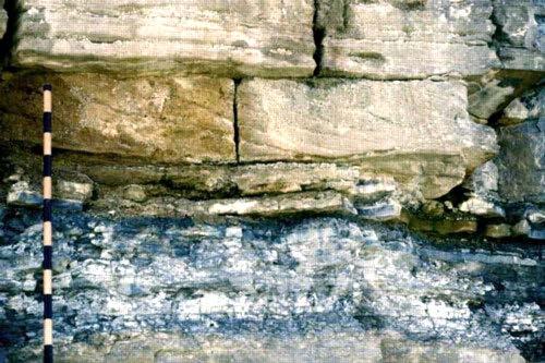 Outcrop example: FSST Basinward shift in facies Grainstone shoal facies, indicated by the prominently crossbedded grainstone, abruptly overlying the