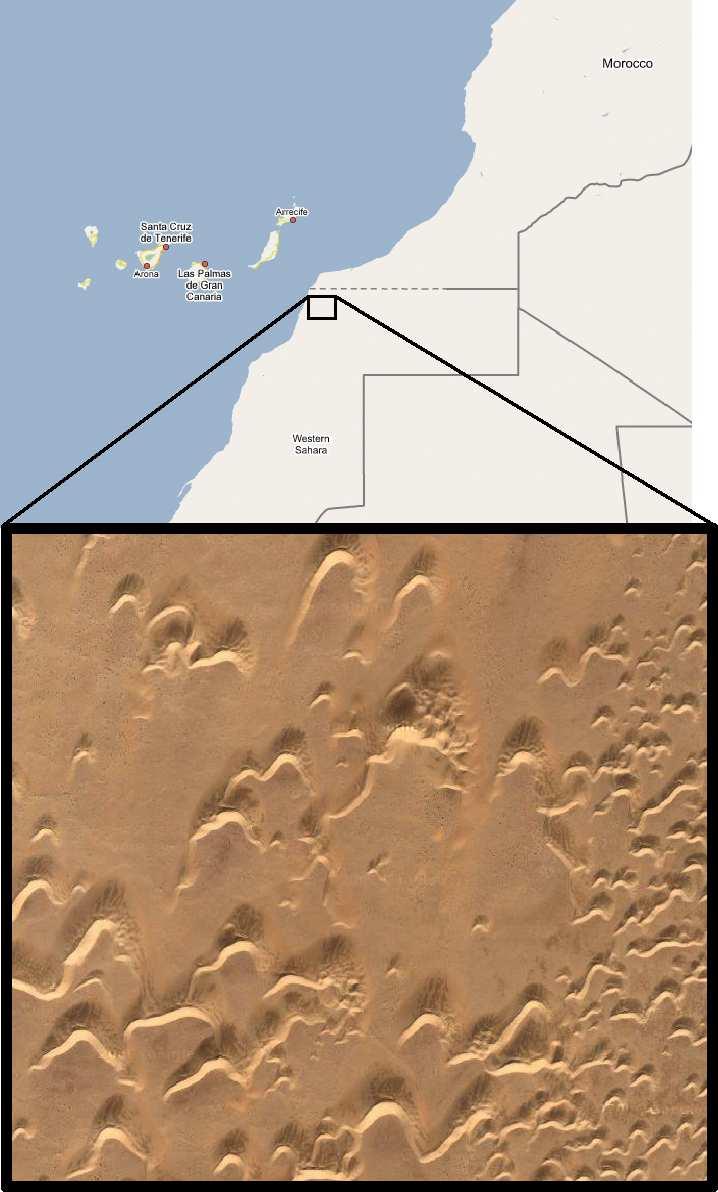 2 FIG. 1: Example of a barchan dune field in Morocco, West Sahara. Note that the dune field is divided in corridors along the wind direction, where the dune size is roughly uniform.