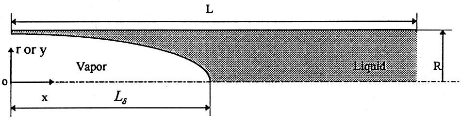 Fig. 1 1 Flow both in vapor and liquid phase is laminar and incompressible, and, therefore, the density for each phase is constant. 2 The working fluid along the liquid-vapor interface is saturated.