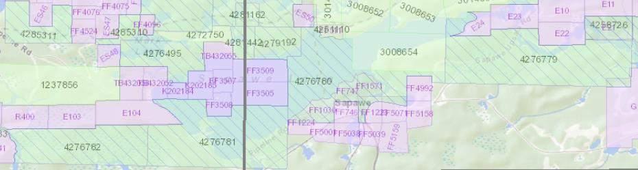 ENGLISH CLAIMS OPTION Six claims (#4276779 to 4276783 and 4276795) comprise 55 claim units and cover an area of approximately 880 ha. Historic Staines Occurrence with reported drill intersection of 0.