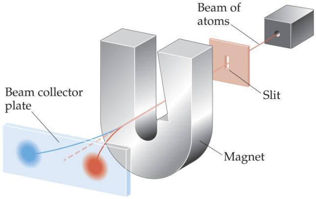 Stern and Gerlach designed an experiment to determine why. A beam of atoms was passed through a slit and into a magnetic field.