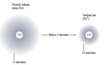 IONS Atom or a group