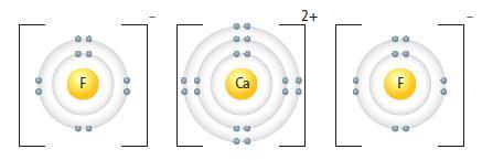 Draw the Bohr