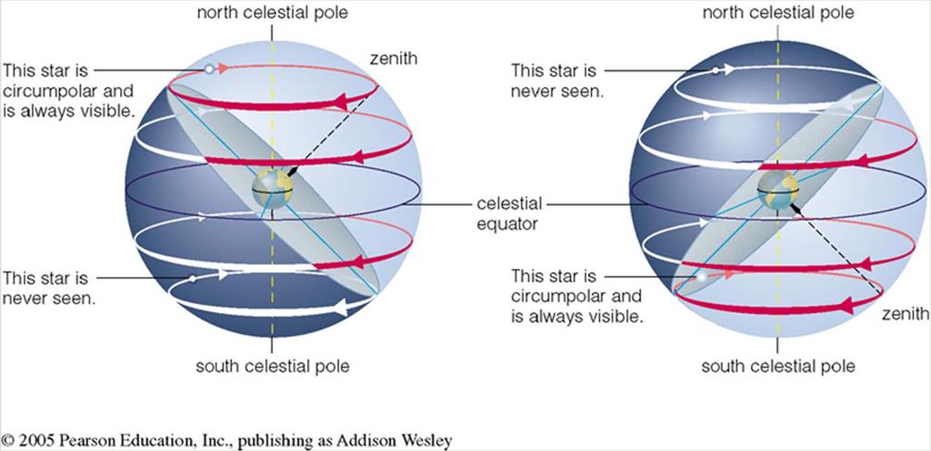 The Daily Motion The altitude of the celestial pole = [your latitude]. All stars at an angle < [your latitude] away from: your celestial pole never set.
