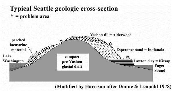 cross-section Alluvial, Depression