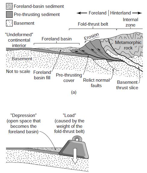 Location of a fold-thrust belt in an orogen. The belt occurs between the foreland basin and the internal metamorphic region of the hinterland.