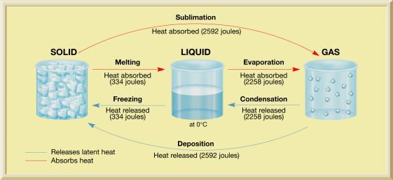 In this process, heat is absorbed by the water b. It is Latent heat that melts the ice; heat that is absorbed by the ice cubes and not producing a temperature change. 2. Liquid to Gas - Evaporation a.