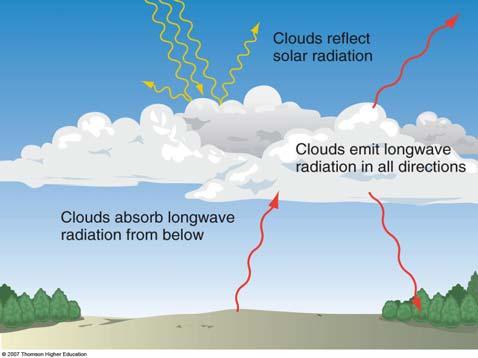 My Favourite: Altocumulus Lenticularis PRECIPITATION GROWTH Formation of Precipitation Cloud