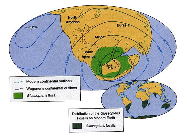 Continental Drift Wegener s Evidence Rocks and Geologic