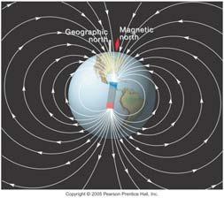 Stripes The figure shows that the Earth s magnetic field is currently oriented so that magnetic lines of force are entering the Earth