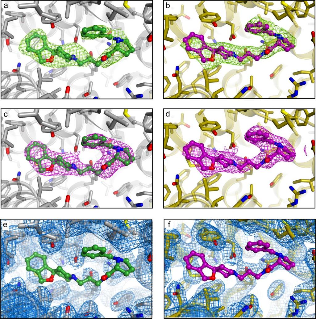 Supplementary Figure 4. Examples of the electron density maps calculated from the refined model for the BRIL-NOP/C-24 complex.