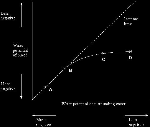 The graph shows the mean water potential of the blood of samples of crabs from the four sites in relation to the water potential of the environment