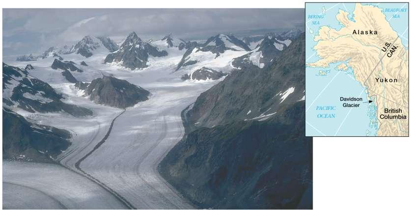 Tributary alpine glaciers have joined to