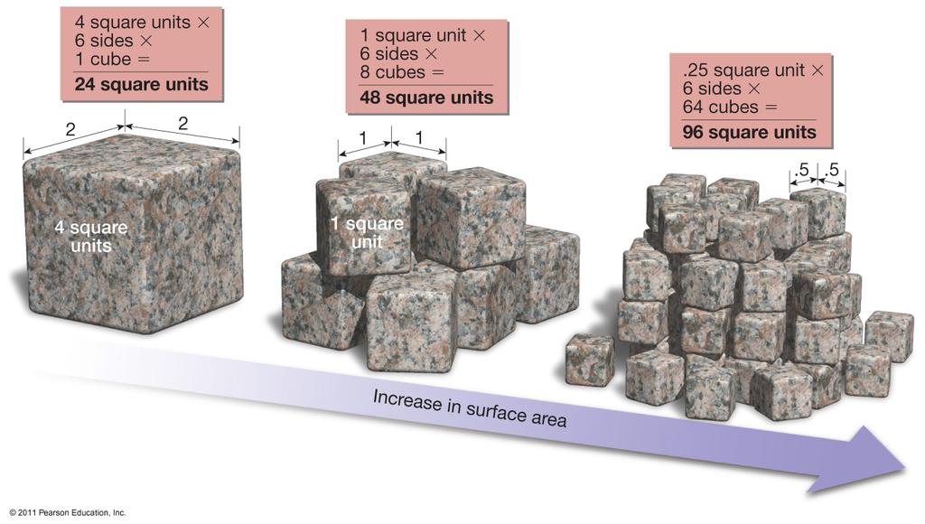 amount of available surface area.