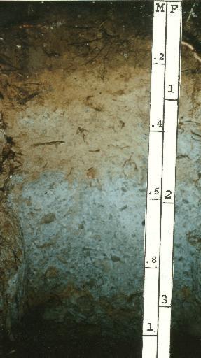 Though many soils, such as the one shown here, show a classic topsoil horizon this is not always the case.