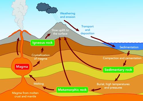 3 6. Based on statistics, there are more igneous rocks on the Earth s crust. Can you explain why it is easier for igneous rocks to form? 7. Imagine a use for each of the types of rock described above.