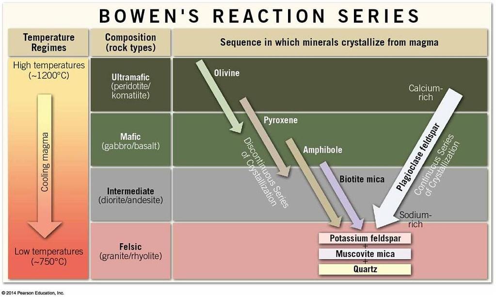 13) Consult the image that depicts Bowen's reaction series. What can be said of the temperature at which a granite crystallizes? A) Granite crystallizes at temperatures of about 750 C.