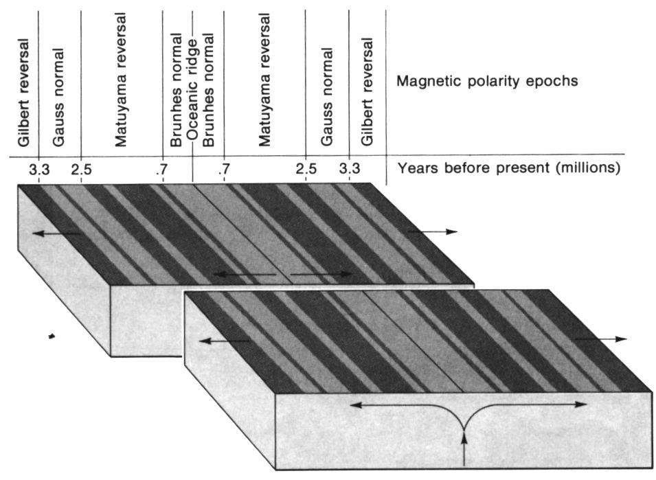 The symmetry suggests that the rocks welled up on a molten or semimolten state and gradually moved outward. Figure 4.