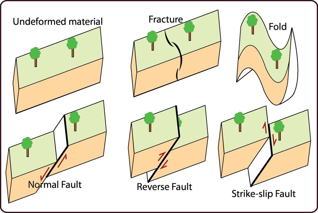 o Strike-slip faults (also called transform faults if they define a tectonic plate boundary): Occurs due to lateral motion of two blocks of material.