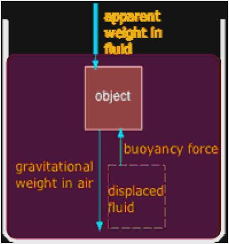 Concept of Buoyancy 1) Buoyancy is an important force on objects immersed in a fluid.