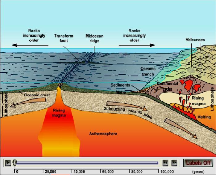 Seafloor Spreading and Subduction Animation Key Features: 1) The illustration shows both progressive growth and destruction of oceanic lithosphere by seafloor spreading and subduction, respectively.