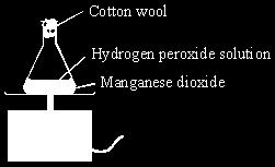 (b) The diagram shows how the rate of this reaction can be measured. As the hydrogen peroxide decomposes, the mass of the flask and its contents decreases. Why does this decrease in mass take place?