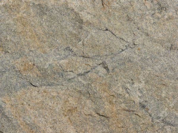 TYPE OF STONE Sandstone is one of the most common types of sedimentary rock and is found in sedimentary basins throughout the world.
