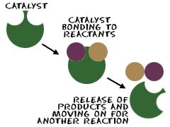 Reaction rate can be increased by using a catalyst. A catalyst is a substance that increases the reaction rate without being used up or forming part of the products.
