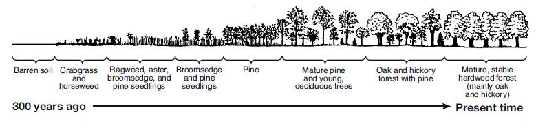 67. The diagram below represents a process that occurs in nature.