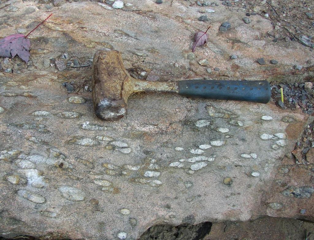 Flattened, cigar-shaped quartz-sillimanite nodules surrounded by equigranular leucogranite;