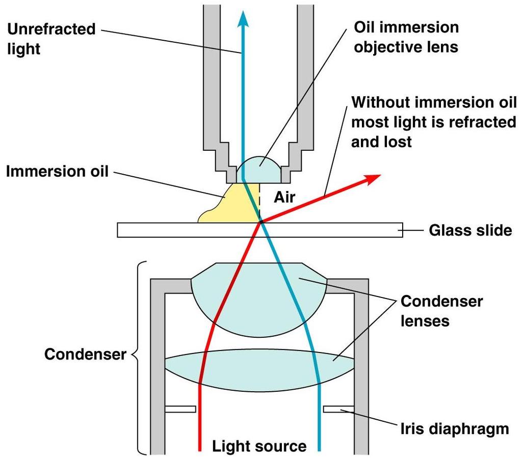 Refraction Refractive Index measures lightbending ability of
