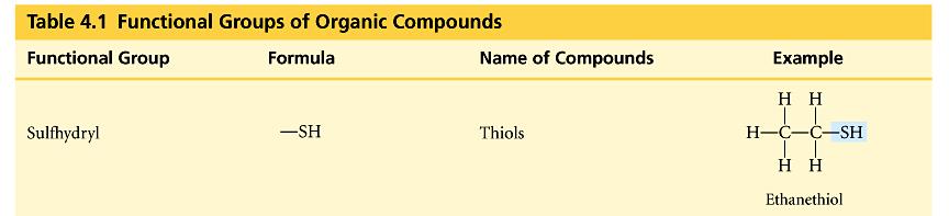 thiols SH groups