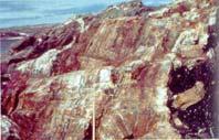 Evidence in metamorphic rocks that life existed 3.