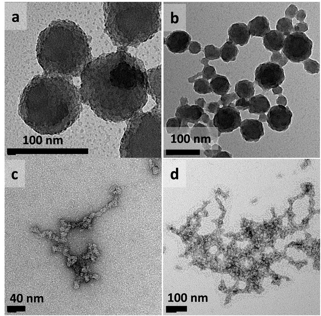 Figure S4. Transmission electron microscopy characterization of MMNPs. (a,b) TEM images of MMMPs prepared at 2 mg ml 1 DA with 0.