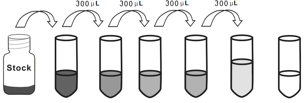 to the picture shown below. Mix each tube thoroughly before the next transfer. Set up 5 points of diluted calibrator such as 800 pg/ml, 266.67 pg/ml, 88.89 pg/ml, 29.63 pg/ml, 9.