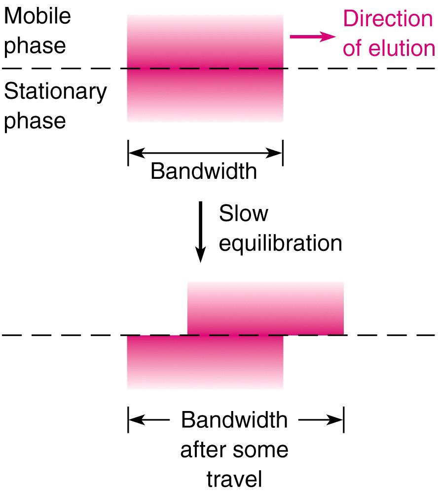 fast and slow equilibration between two