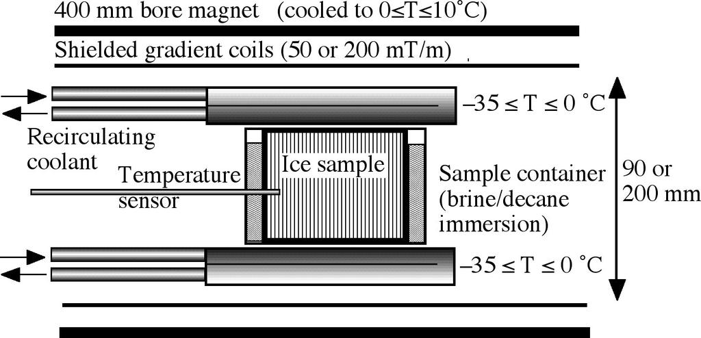 Dielectric properties of ice