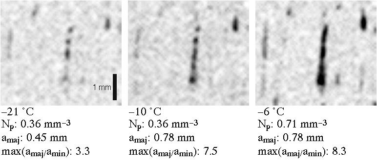 Changes in pore microstructure upon warming (III) Pore