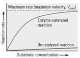 Progress Transformation of the substrate to products Activation energy E' a is much smaller than E a and so the enzyme makes the reaction much faster 2008 Brooks/Cole 63 2008 Brooks/Cole 64 Enzyme