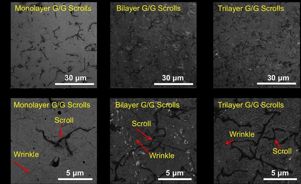 fig. S2. SEM images of mono-, bi-, and trilayer MGGs on the SiO2/Si wafers. In zoom-in images, representative scrolls and wrinkles are labeled to highlight their differences.