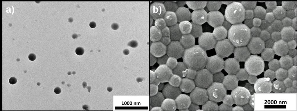 Figure S8 TEM/SEM of self-assembled structures of 1-SDBS