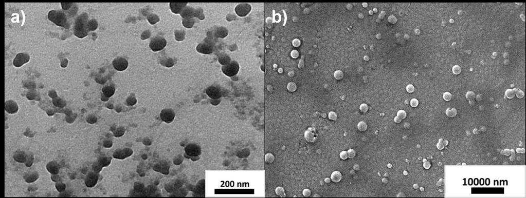 Figure S9 TEM of self-assembled structures of 1-SDS obtained from EtOH:Water solvent systems: a) 20/80, b)