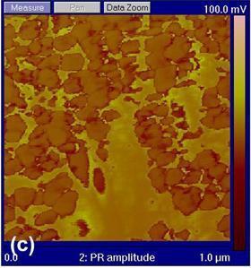 polycrystalline bulk materials. The large piezoelectric response might result from the uniform nanodomain structures.