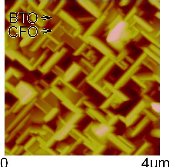 Figure 4.5 AFM images of BaTiO 3 -CoFe 2 O 4 nano-composite deposited on a (001) SrTiO 3 substrate.