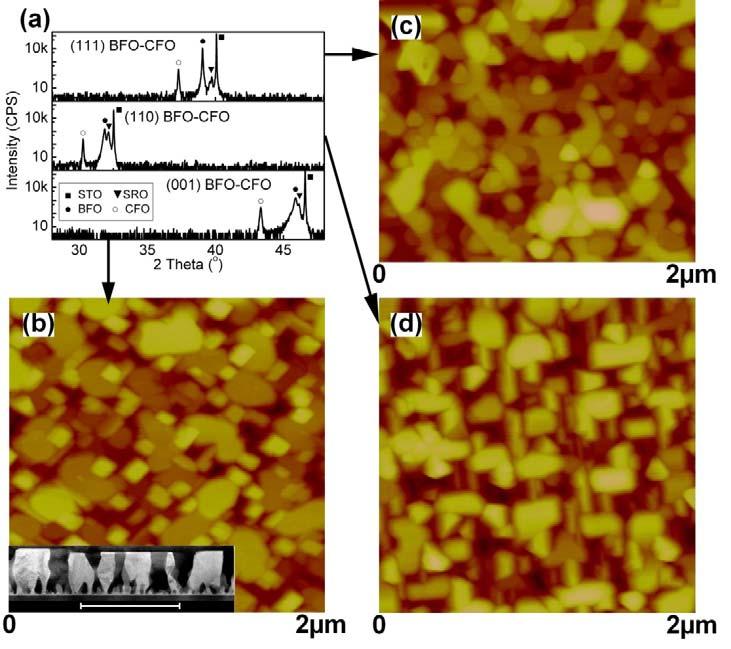 Figure 4.11 X-ray diffraction line scan and atomic force microscopy image for (001), (110) and (111) BFO-CFO thin films.
