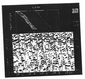 Figure 12 shows, one Splinter fault tracked on a set of fault slices and the resulting contour map. Fig 13: Contour maps of four splinter faults. Figure 13 shows contour maps of four Splinter faults.