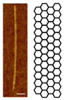 1B. Graphene transistors The electrons in graphene behave as if they have no mass.