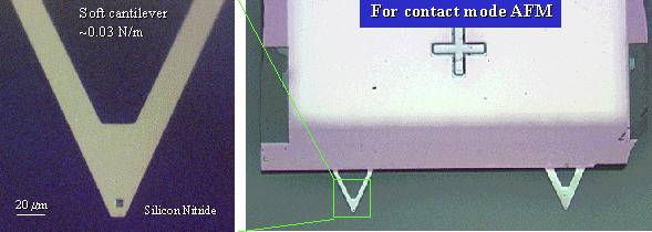 AFM cantilevers A tip-cantilever sensor system The interaction between the sharp tip and the sample surface is detected by the deflection (contact mode AFM) or the